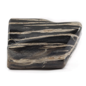 Petrified Wood